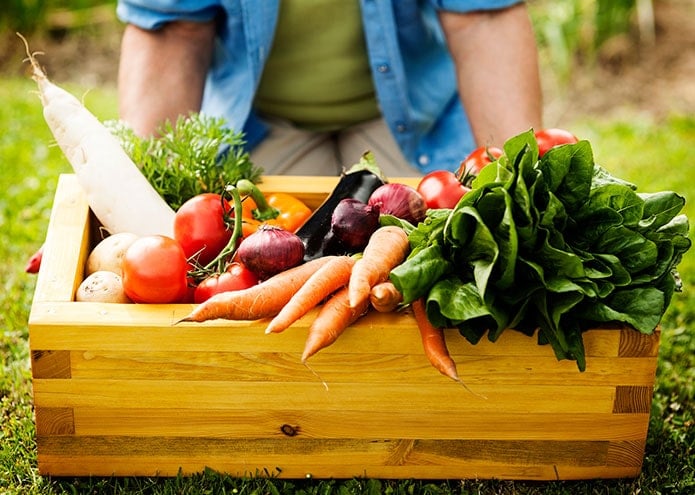 Nhà xưởng sơ chế hiện đại